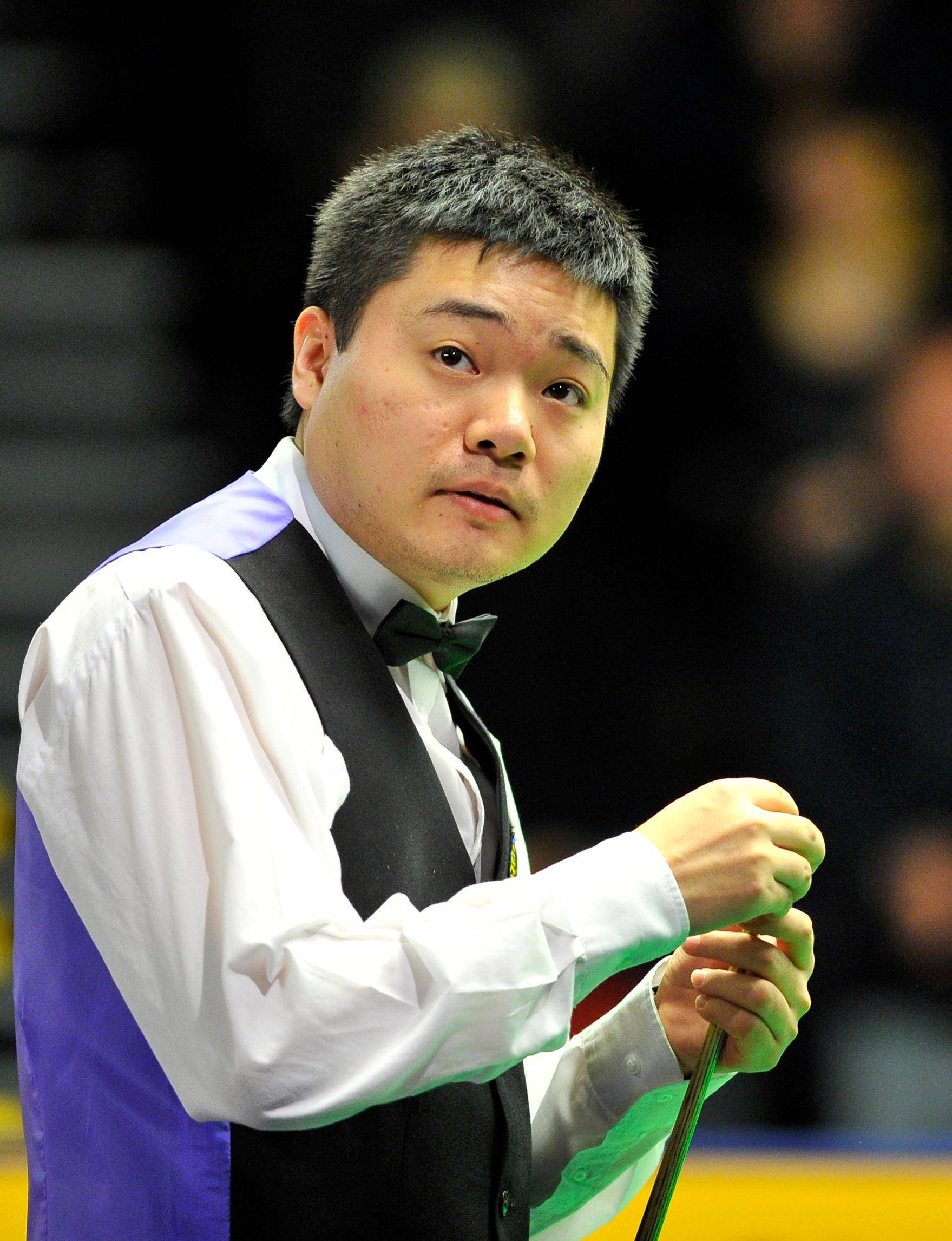 主导比赛节 主导比赛节