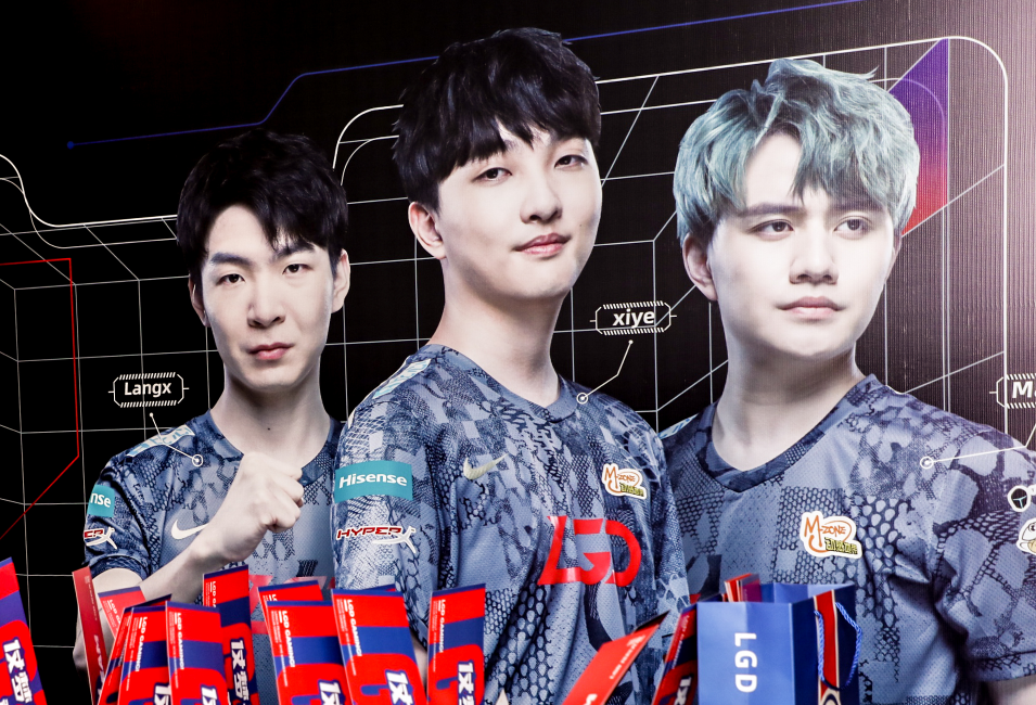 稳健的组织 稳健的组织